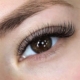 Eyelash Extensions